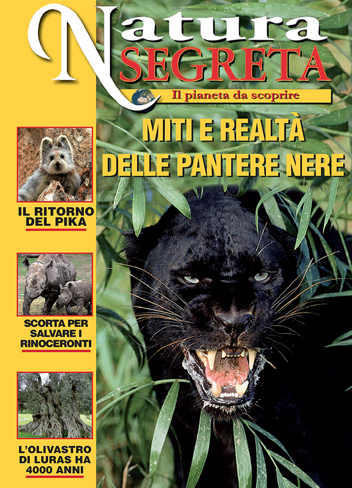 Rivista online di natura Segreta e Misteriosa